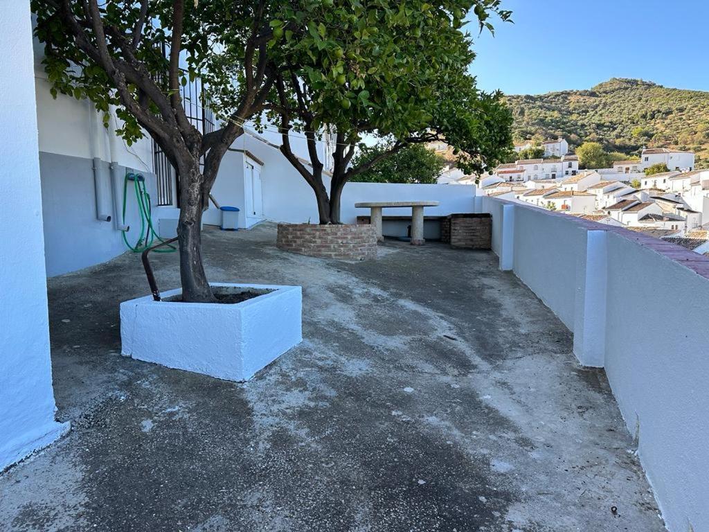 סהרה דה לה סיירה Apartamento Antonia מראה חיצוני תמונה